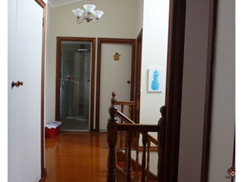 5 Pineneedle Place, Sunnybank Hills QLD 4109