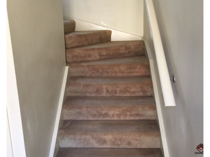 12 Moorhen Street, Coomera QLD 4209