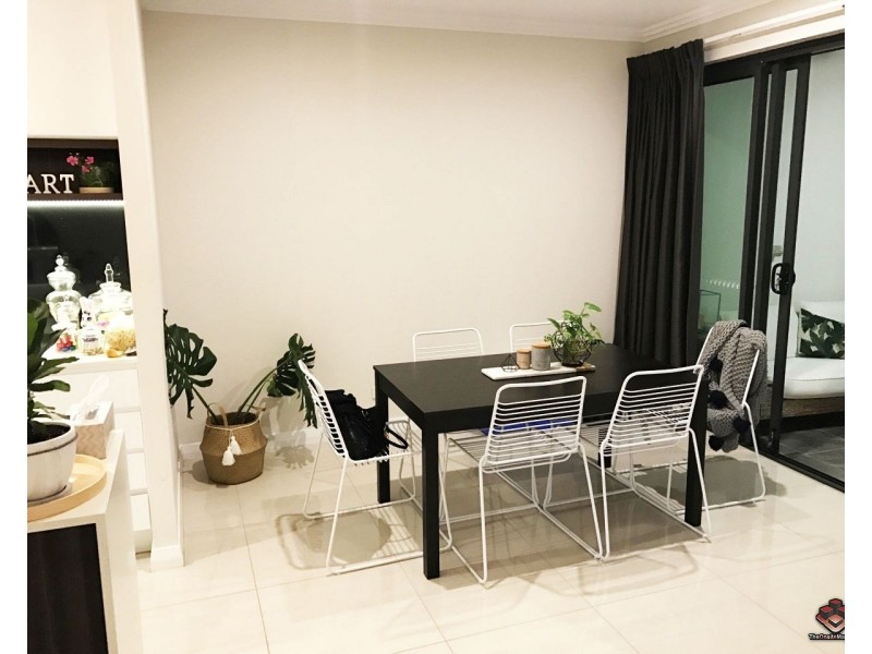 38 Love Street, Bulimba QLD 4171