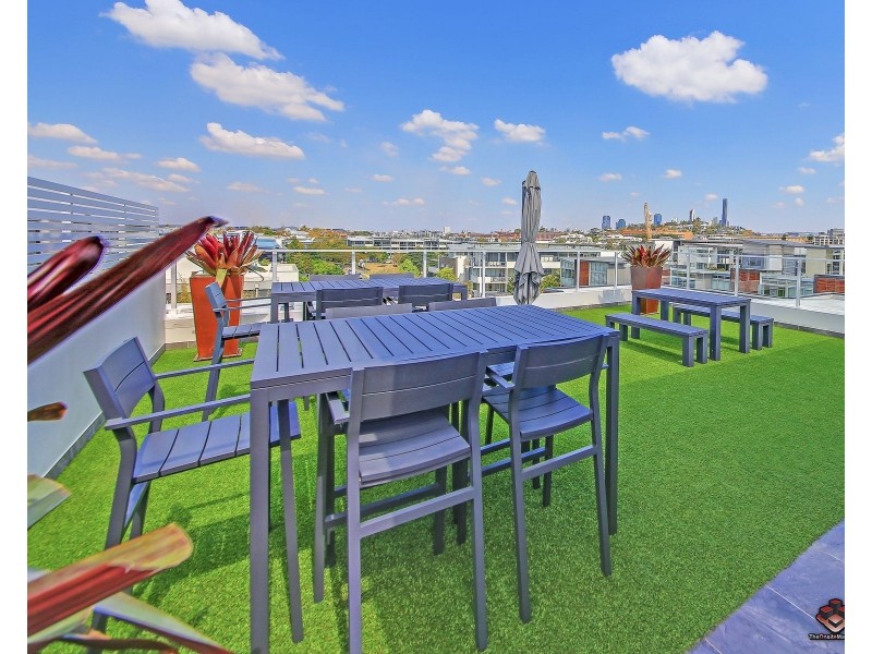 38 Love Street, Bulimba QLD 4171