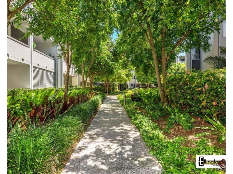 71 Beeston Street, Teneriffe QLD 4005