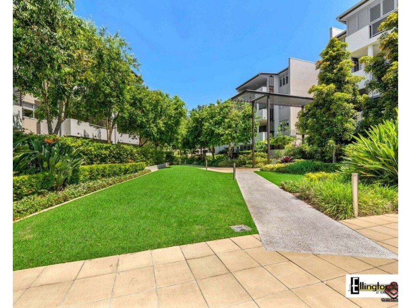 71 Beeston Street, Teneriffe QLD 4005