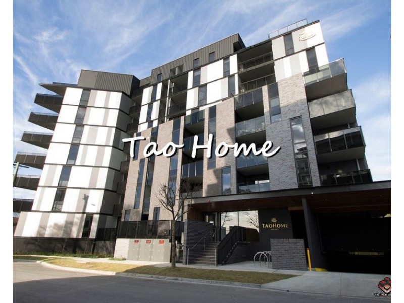 19 Poplar Street, Box Hill VIC 3128