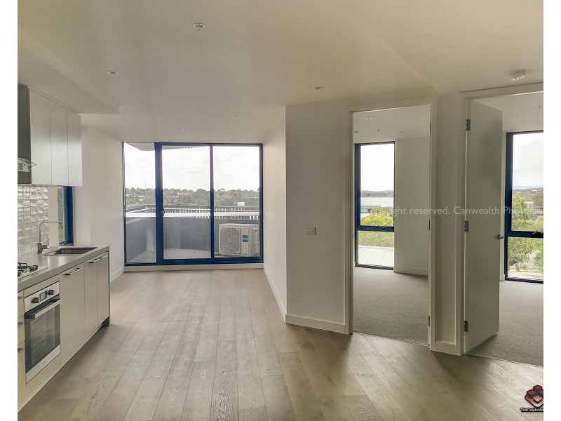 19 Poplar Street, Box Hill VIC 3128