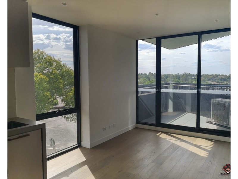 19 Poplar Street, Box Hill VIC 3128