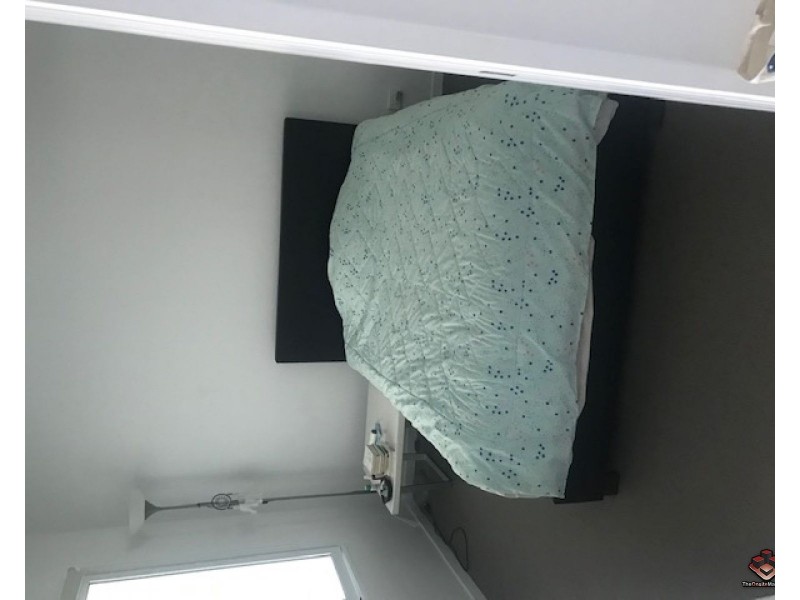 20 Labrador Street, Labrador QLD 4215