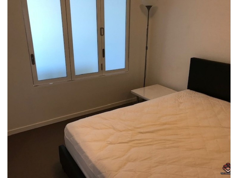 20 Labrador Street, Labrador QLD 4215