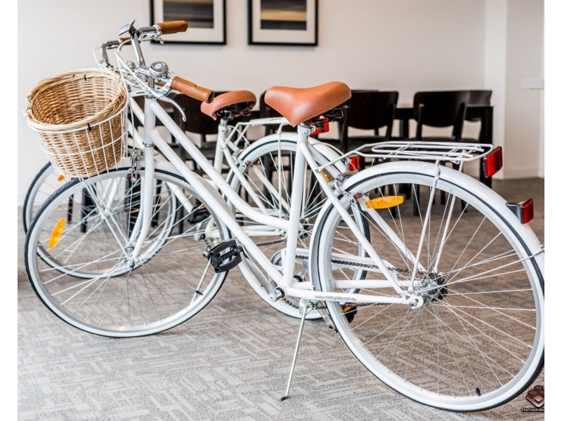 855 Stanley Street, Woolloongabba QLD 4102