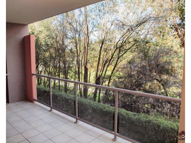 19 Carina Peak Drive, Varsity Lakes QLD 4227