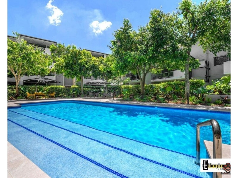 71 Beeston Street, Teneriffe QLD 4005