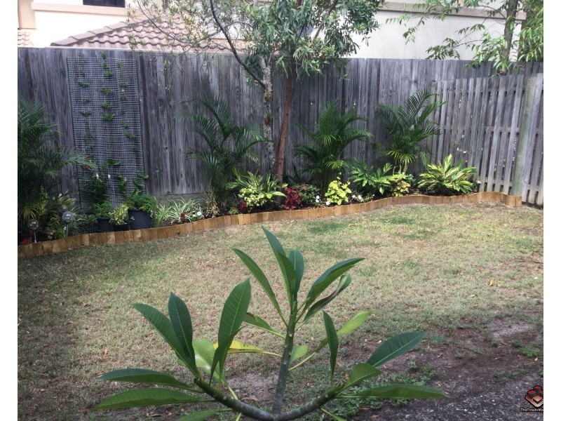 6/2 Tuition Street, Upper Coomera QLD 4209