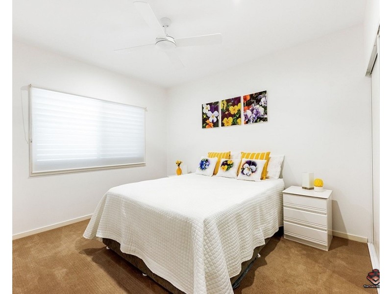 Paradise Point QLD 4216