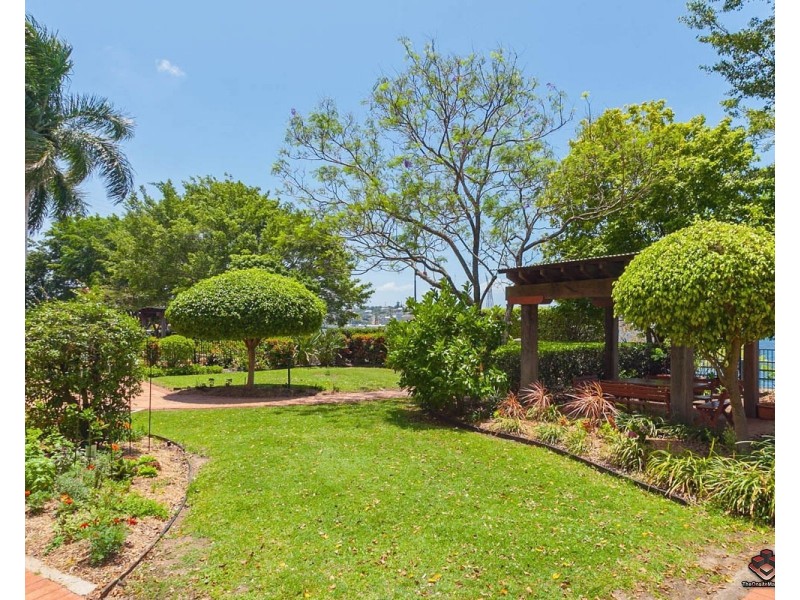 53 Vernon Terrace, Teneriffe QLD 4005