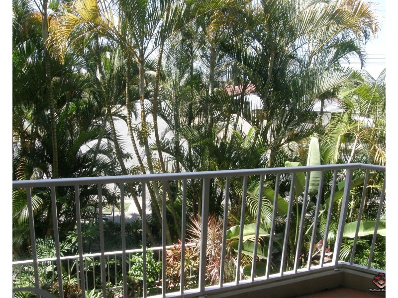 22 Jennifer Avenue, Runaway Bay QLD 4216