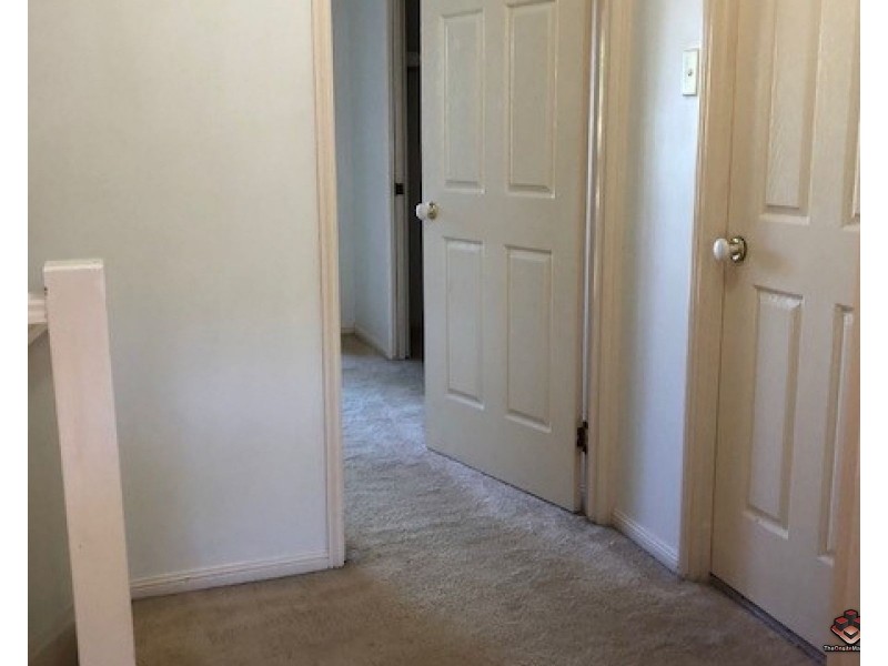 100 Racecourse Drive, Bundall QLD 4217