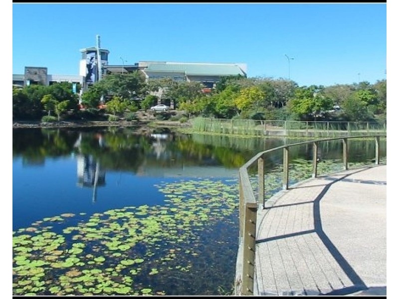 2 Arbour Avenue, Robina QLD 4226