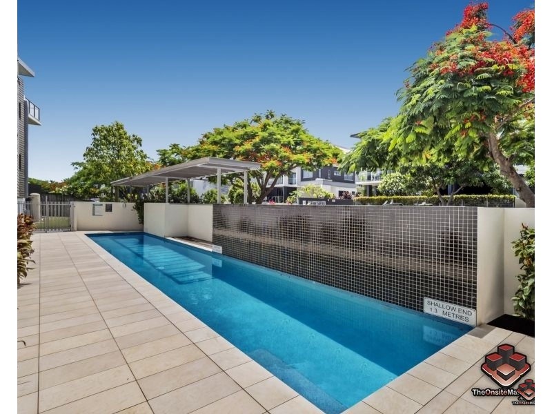 11/48 Addison Avenue, Bulimba QLD 4171