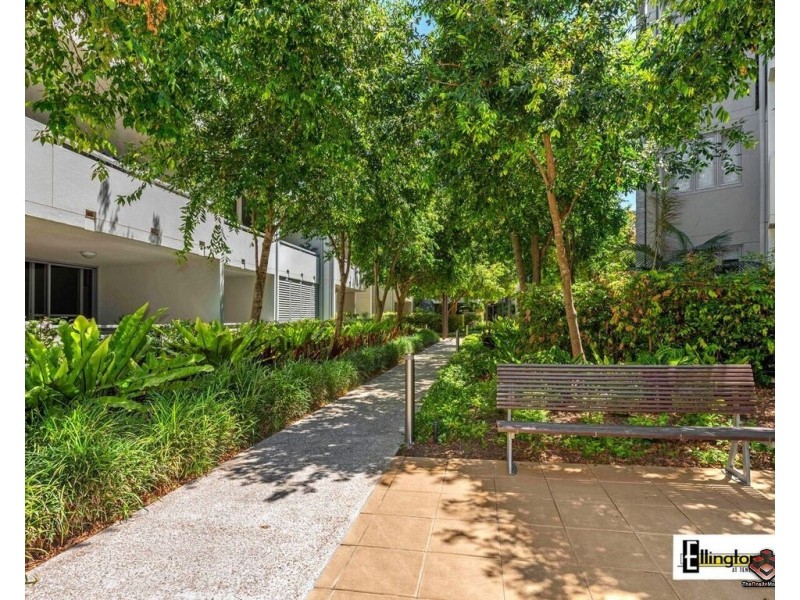 71 Beeston Street, Teneriffe QLD 4005
