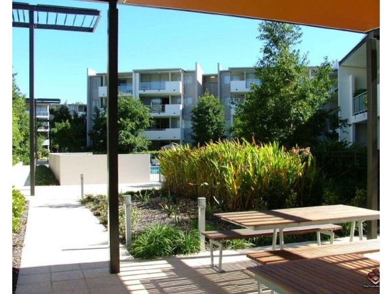 71 Beeston Street, Teneriffe QLD 4005