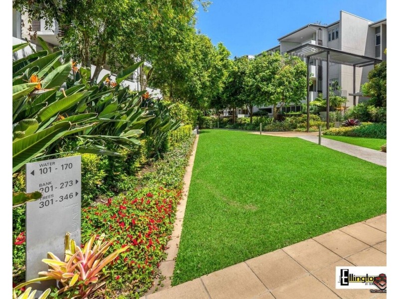 71 Beeston Street, Teneriffe QLD 4005