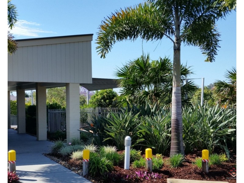 131 McAuley Parade, Pacific Pines QLD 4211