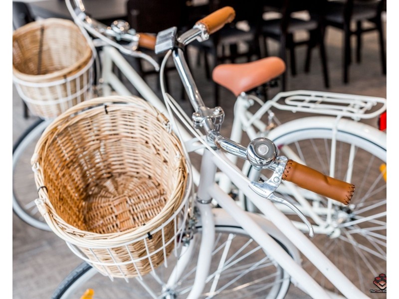 Woolloongabba QLD 4102