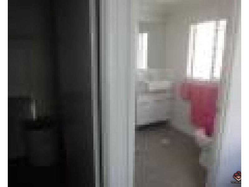 16 Cricket Street, Coopers Plains QLD 4108