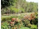 1 Halcyon Way, Hope Island QLD 4212
