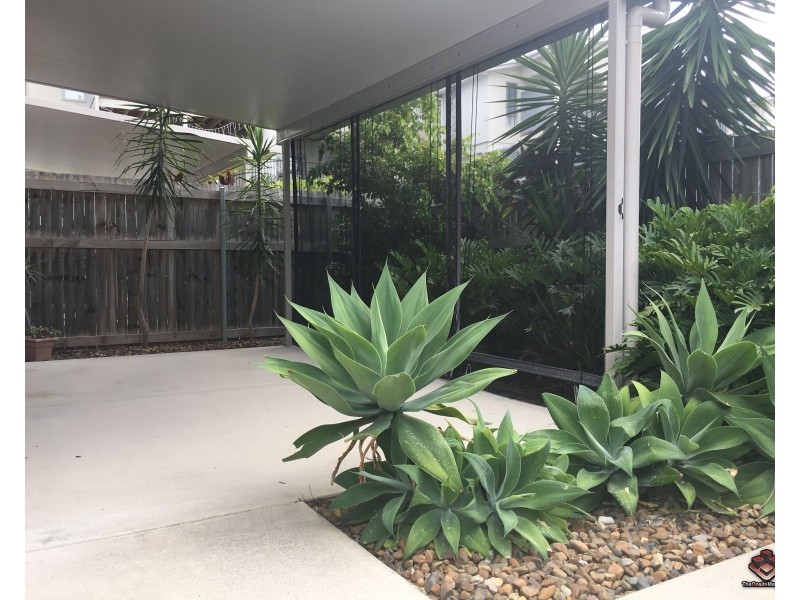 65/14 Photinia Crescent, Mountain Creek QLD 4557