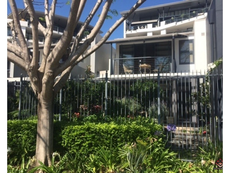 ID:3911249/1 Holman Street, Kangaroo Point QLD 4169