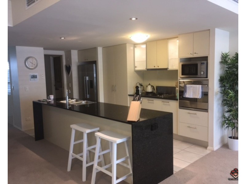 ID:3911249/1 Holman Street, Kangaroo Point QLD 4169