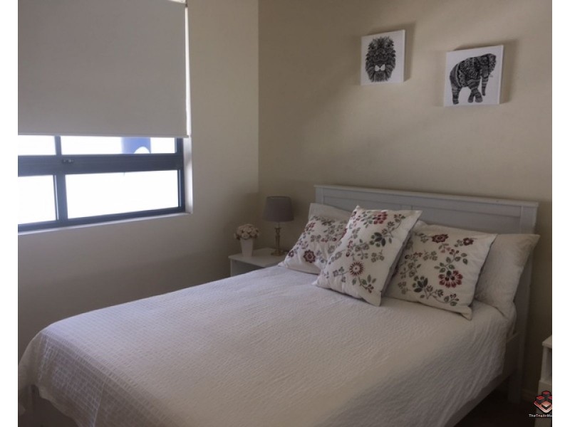 ID:3911249/1 Holman Street, Kangaroo Point QLD 4169