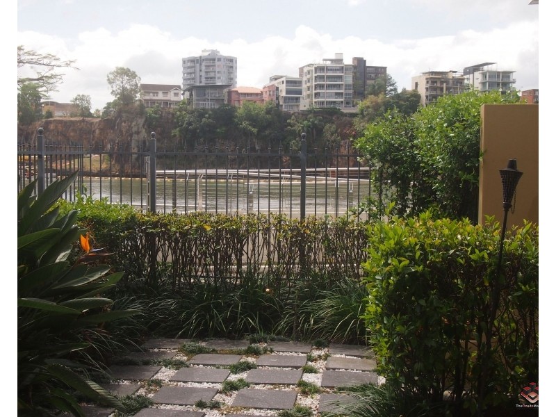 ID:3911249/1 Holman Street, Kangaroo Point QLD 4169