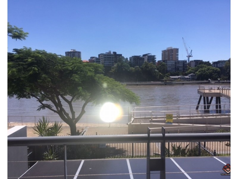 ID:3911249/1 Holman Street, Kangaroo Point QLD 4169