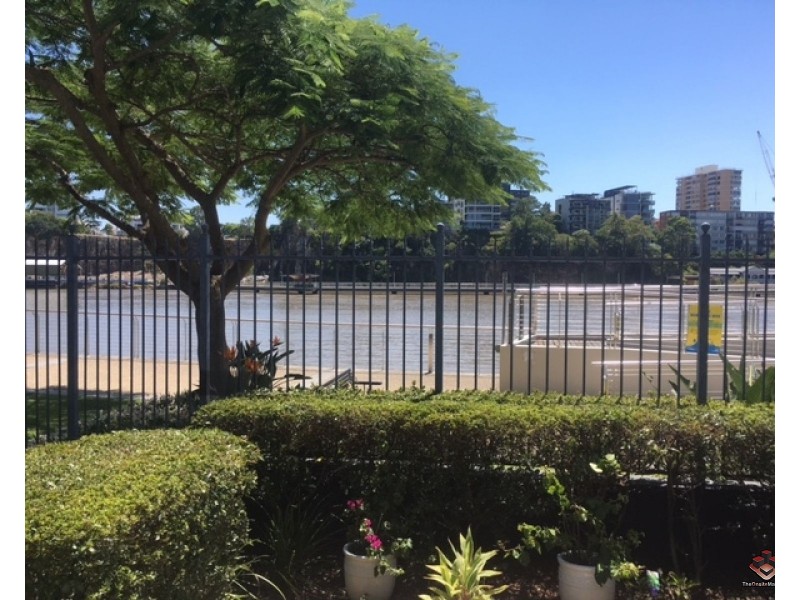 ID:3911249/1 Holman Street, Kangaroo Point QLD 4169