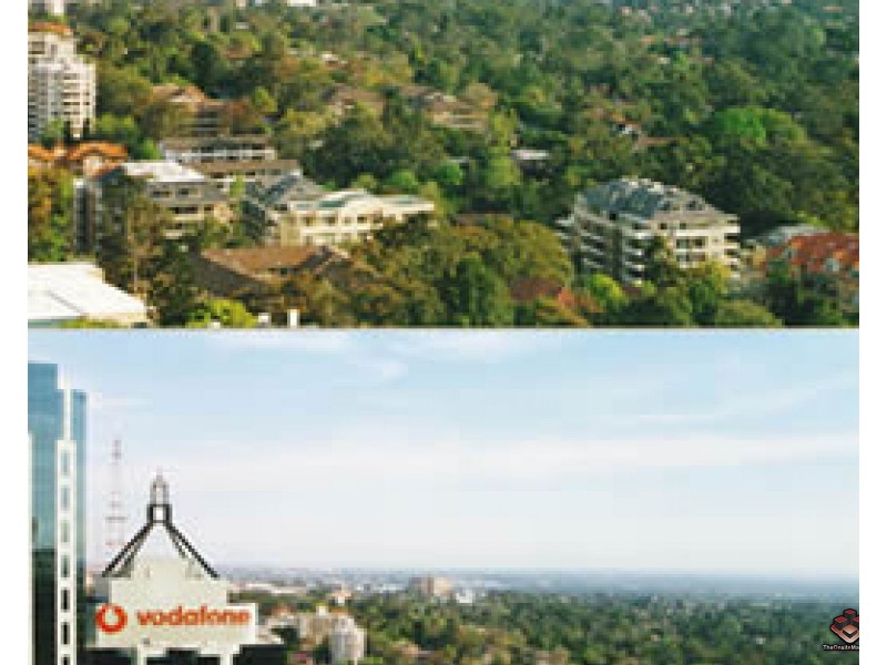 ID:3911250/14 Brown Street, Chatswood NSW 2067