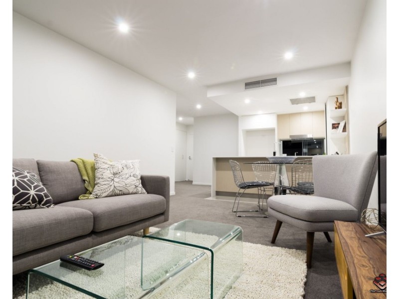 ID:3914609/25 Duncan Street, West End QLD 4101