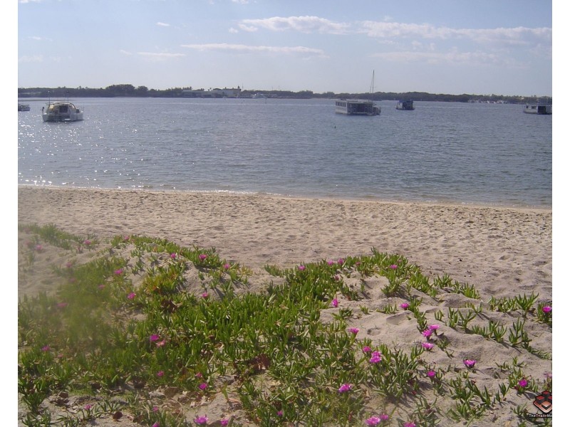 Southport QLD 4215