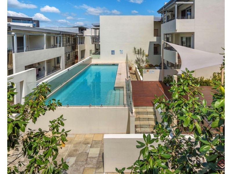 ID:3915032/8 Macquarie Street, Teneriffe QLD 4005