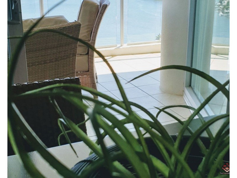 ID:3915336/40 Riverview Parade, Surfers Paradise QLD 4217