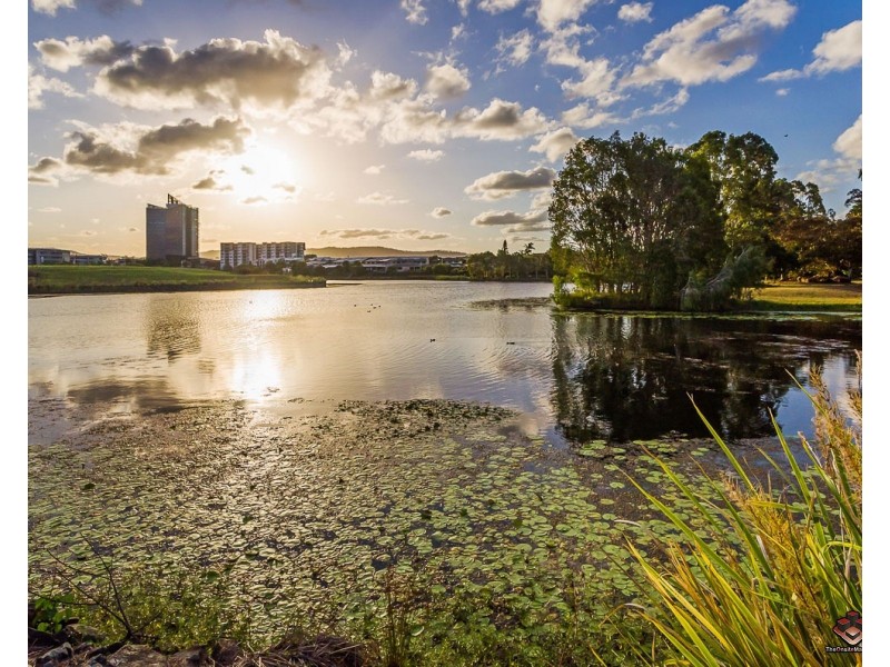 ID:3916100/3 Robina Town Centre Drive, Robina QLD 4226