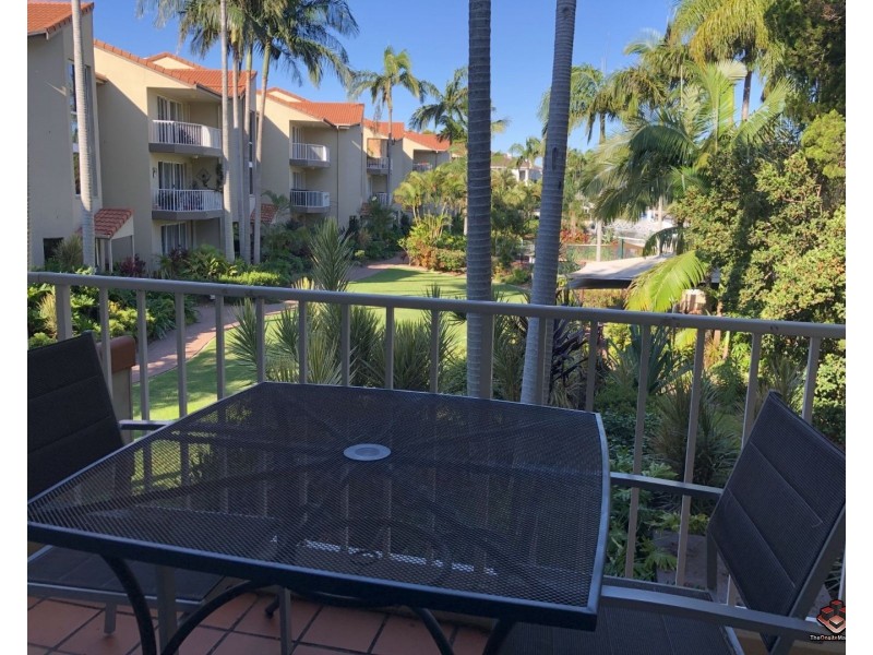 ID:3916136/22 Jennifer Avenue, Runaway Bay QLD 4216