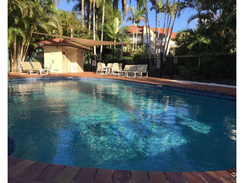 ID:3916136/22 Jennifer Avenue, Runaway Bay QLD 4216