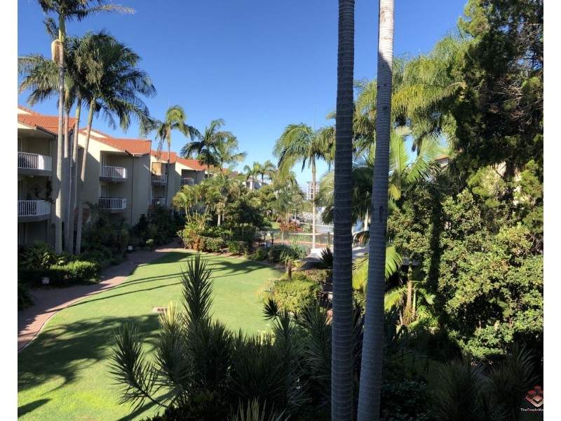 ID:3916136/22 Jennifer Avenue, Runaway Bay QLD 4216