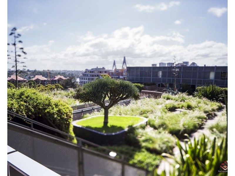 409/320 Harris Street, Pyrmont NSW 2009