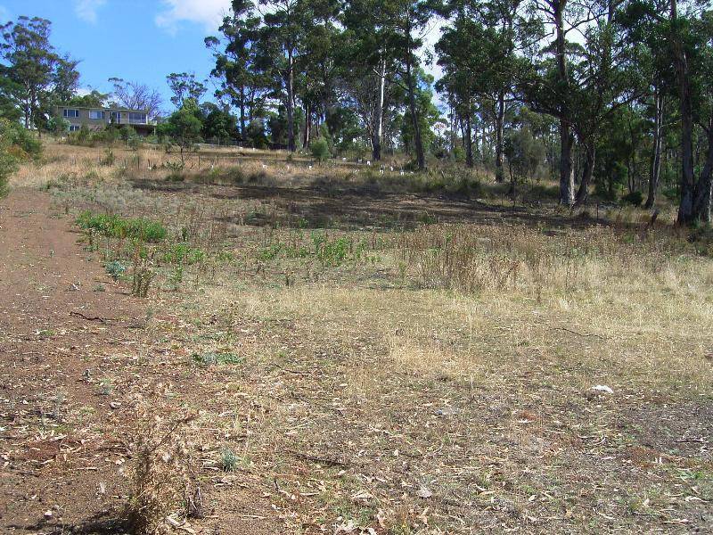 30 Charles Street, Orford TAS 7190