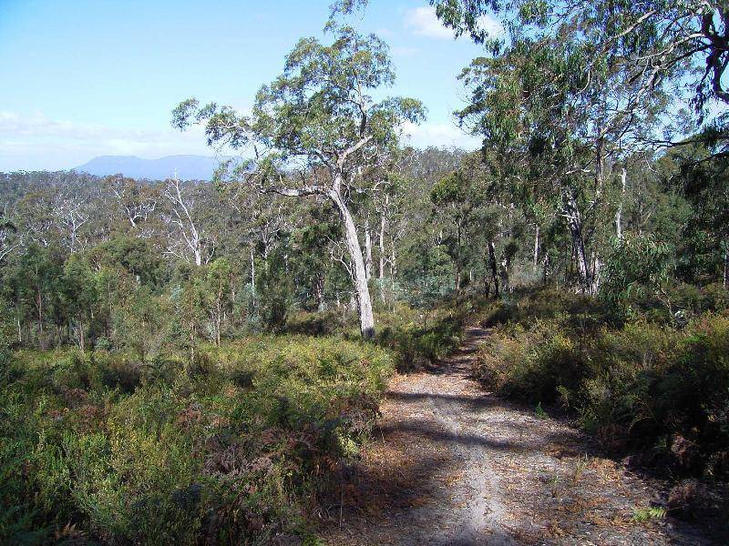 45 Hoods Road, Spring Beach TAS 7190