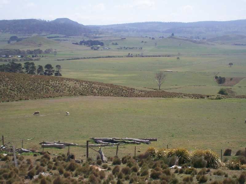 . Leamington, Pawtella TAS 7120