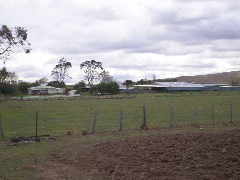 . Leamington, Pawtella TAS 7120