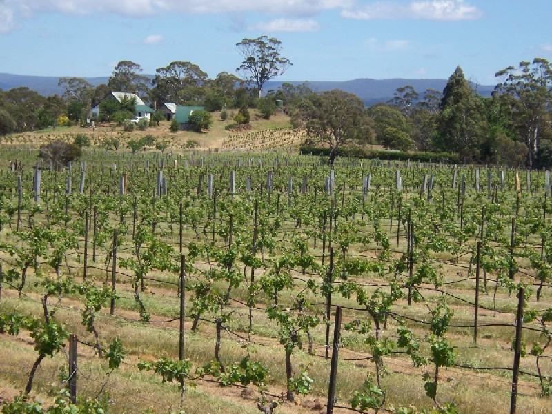 80  Glen Gala Road, Cranbrook TAS 7190